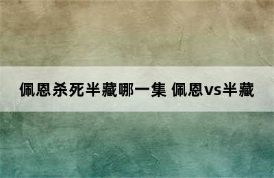 佩恩杀死半藏哪一集 佩恩vs半藏